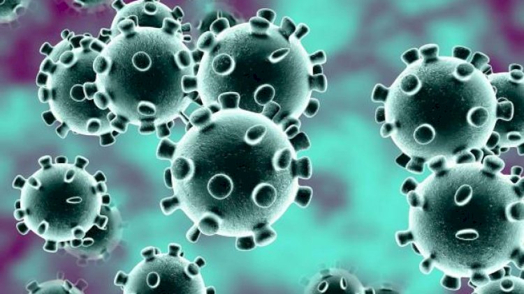    Bütün dünyada öldürücü virus yayılır – Ondan necə qorunmaq olar?   