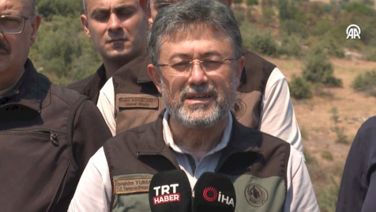    Azərbaycanın yanğınsöndürmə təyyarəsi az sonra Türkiyənin hava limanına enəcək   
