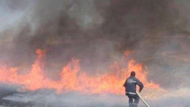    Türkiyədə bütün meşə yanğınları nəzarət altına alındı   