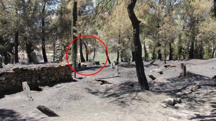    Külə dönən kənddə yanmayan yeganə yer hər kəsi şoka saldı - Foto   