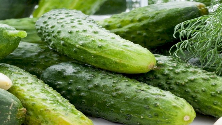    Bu ölkədə xiyar qıtlığı yaşanır - Tələb artdı, səbəb isə...   
