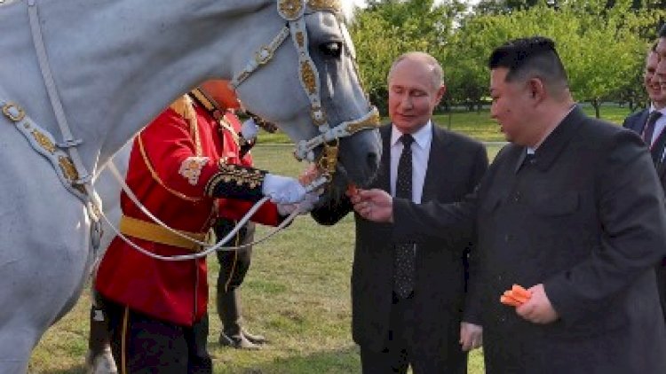   Putin Koreya liderinə bir sürü at bağışladı   