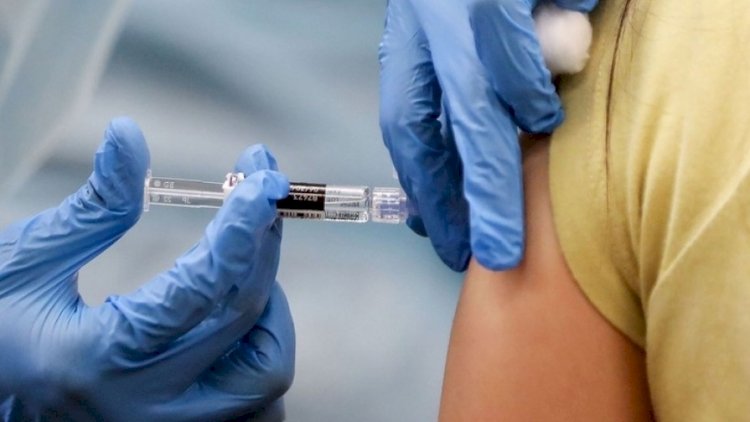    TƏCİLİ! Dəhşətli virus yayılır - Nazirlik hərəkətə keçdi   
