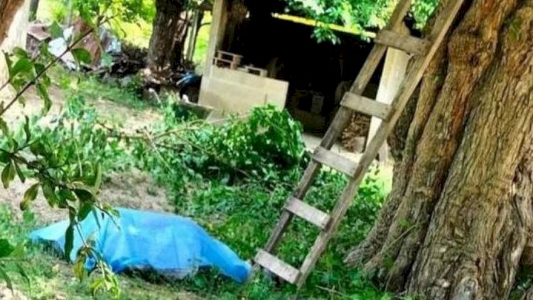    Şəkidə kişi qoz ağacından yıxılaraq öldü   