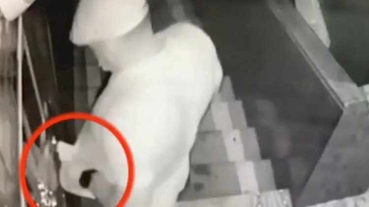    Polisin zərərsizləşdirdiyi silahlının cinayət ortağı HƏBS EDİLDİ   