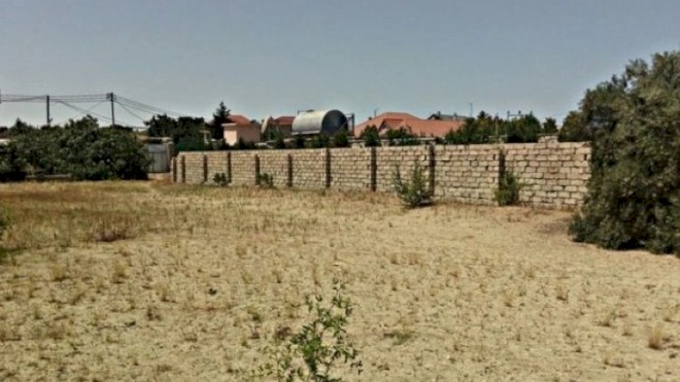    “Kupçalı” torpaqlar kütləvi satışa çıxarıldı - Ev tikmək üçün icazə var   
