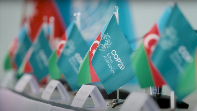    Beynəlxalq əməkdaşlığa yüksək töhfə: COP29 və “Yaşıl enerji”   