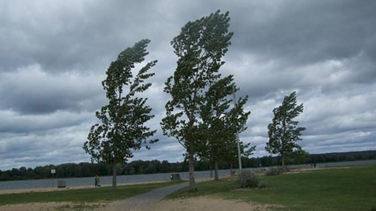    Sabahın hava proqnozu açıqlandı   