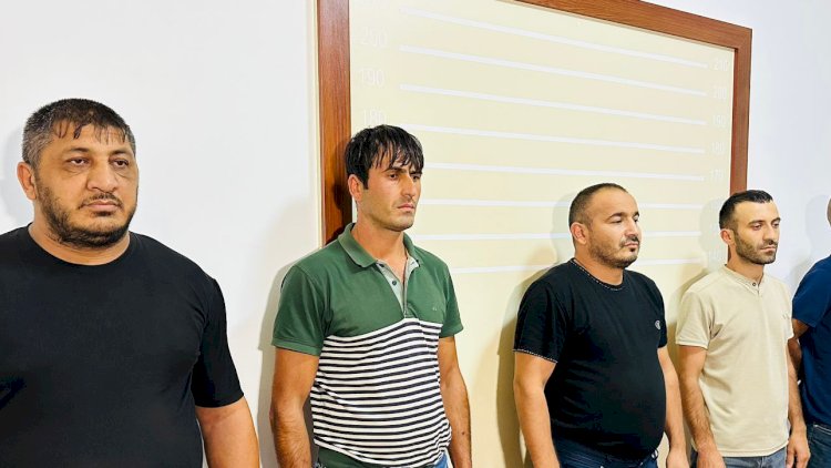    Balakəndə 3 narkotik plantasiyası aşkar edildi, saxlanılanlar var   