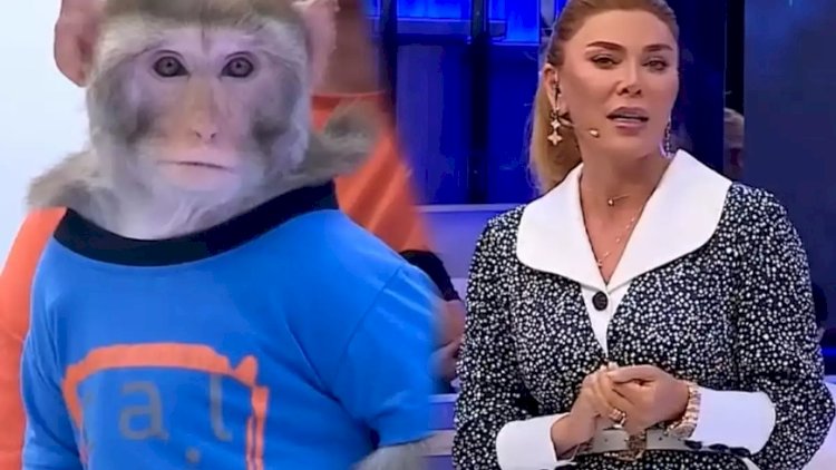    Xoşqədəm itkin meymunu tapdı    - Video