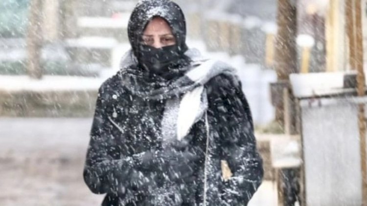    Daha yaz və payız olmayacaq? - Ekoloq iddialarla razılaşmır: “Qızmar yay, soyuq qış…”    