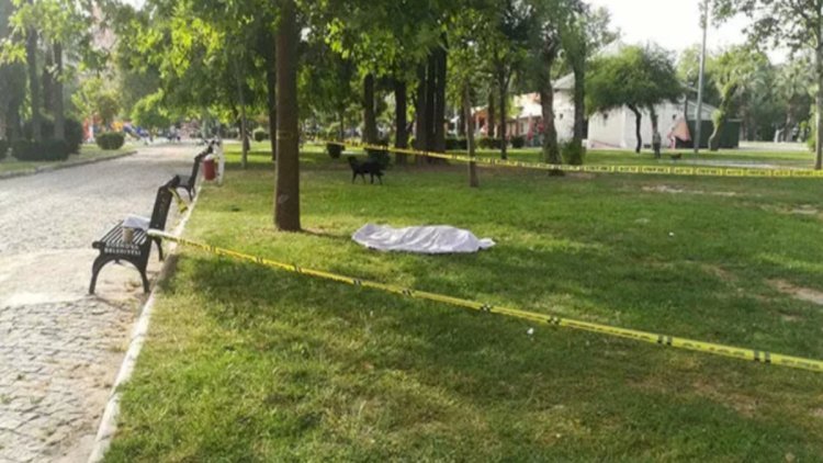    Bakıda parkdan meyit tapıldı   
