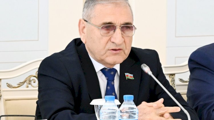    İçərəhərə giriş pullu olsun - Deputatdan təklif   