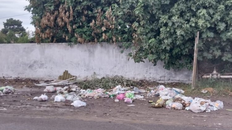    Məişət tullantılarının kənara atılmasına görə cərimə artırılır   