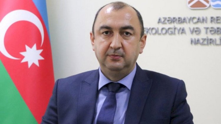    İlin sonuna Cəbrayıl və Füzuli rayonlarında yaşıllıqlar salınacaq   