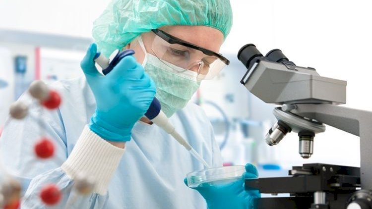    Yeni virus yayılıb - Ekspertlər həyəcan TƏBİLİ ÇALIR   