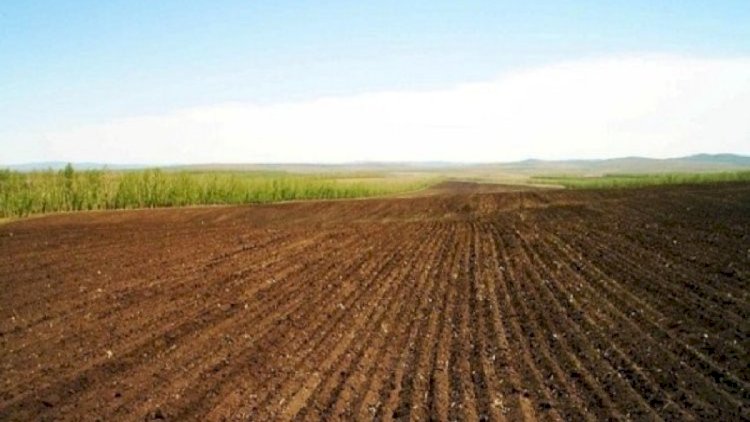    Keçmiş məcburi köçkünlər torpağı icarəyə götürəcək   