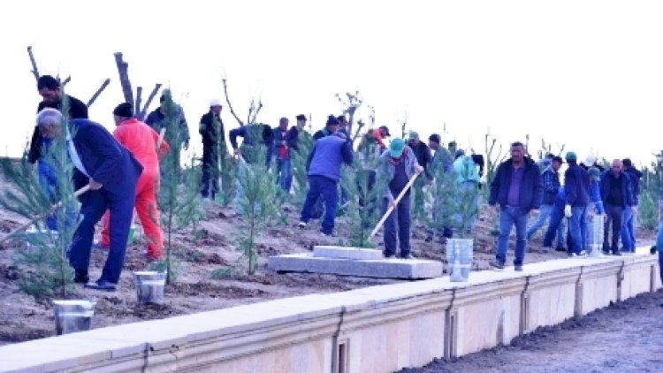    Əkilən ağac və kollar paytaxta xüsusi gözəllik verəcək   
