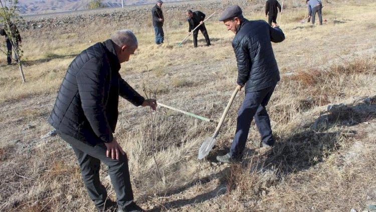    COP29 ərəfəsində Ordubadda növbəti yaşıllaşdırma tədbirləri həyata keçirildi   
