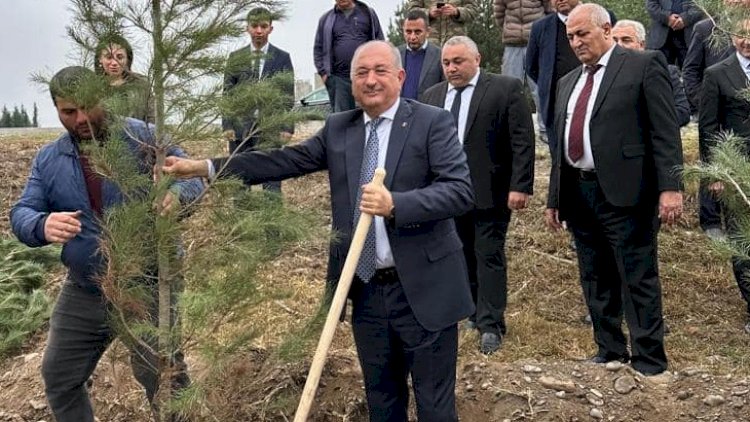    Beyləqanda aksiya:   İcra başçısı ağac əkdi - FOTOLAR