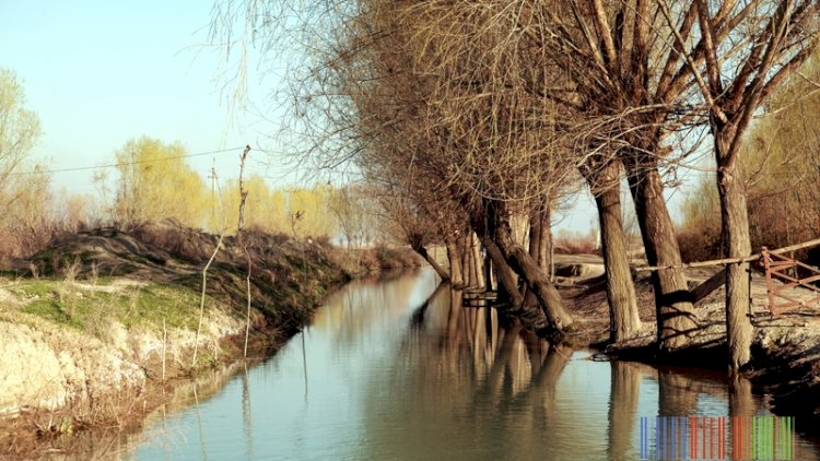    Zərdabda kişi kanala düşdü   