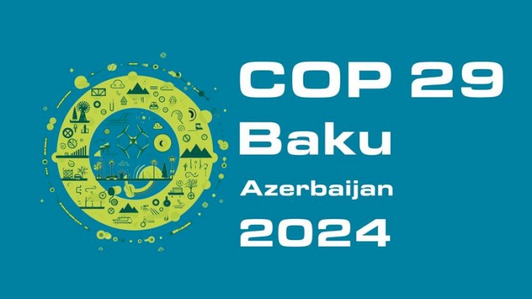    Qərb qüvvələrinin COP29 əleyhinə olan kampaniyaları uğursuzluqla nəticələnəcək   