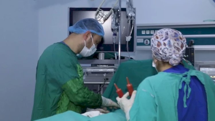    Plastik cərrahlarla bağlı araşdırma: 14 müəssisə cərimələndi   