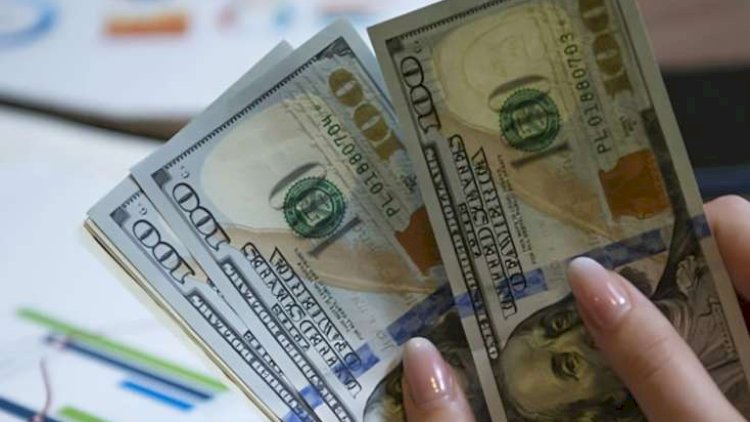    Dollar həftəyə bu qiymətlə başladı   