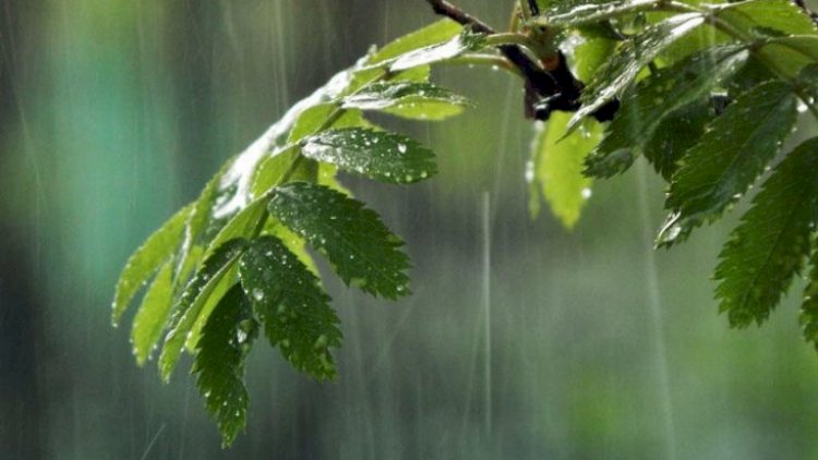    Hava kəskin dəyişəcək - XƏBƏRDARLIQ   