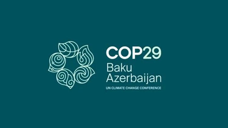   COP29-a qatılmayan liderlər kimdir?   - Video