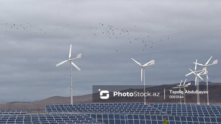    Bu gün Cəbrayılda yeni günəş elektrik stansiyasının təməli qoyulacaq   