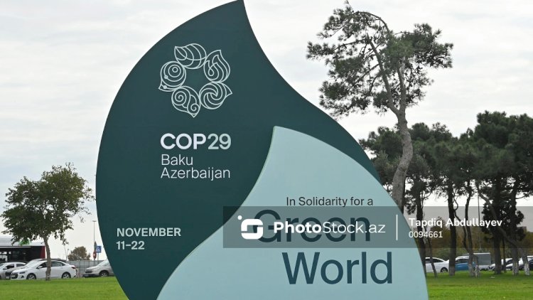    COP29-da kolonializmə qarşı aksiya keçirilir   