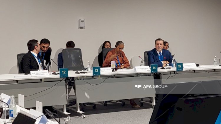    COP29: Azərbaycan, Türkiyə və BMT-nin birgə pavilyonunun açılışı oldu   