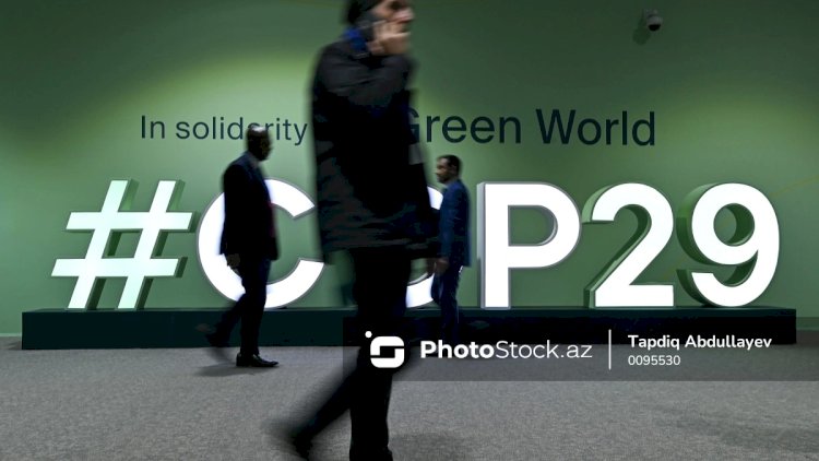    COP29-da hansı təkliflər edilir? - Video   