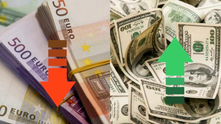    Avro ucuzlaşdı, dollar isə... – Yeni məzənnə   