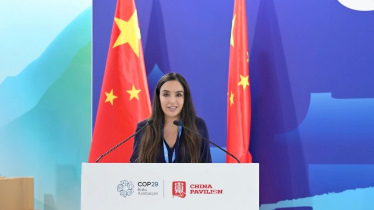    Leyla Əliyeva Çin pavilyonunda təşkil olunan paneldə iştirak etdi   