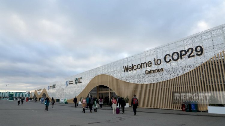   COP29: Yaşıl Zonada bir neçə etirazçı davranış kodeksini pozdu   