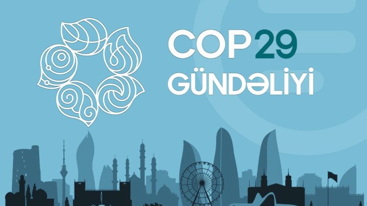    COP29 gündəliyi - 17.11.2024   