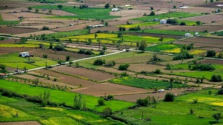    2025-ci ildə bu ərazilərdə torpaq qiymətləri DƏYİŞƏCƏK    