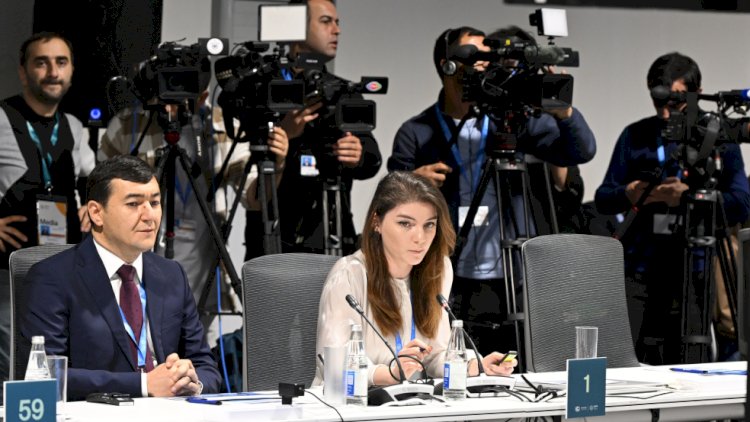    Ekoloji təmiz nəqliyyat vasitələrinin dövriyyəsinin stimullaşdırılması ilə bağlı görülən işlər COP29-da təqdim olunub   