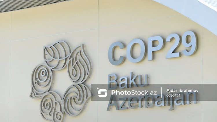    COP29-la bağlı təxribat planları: Fransa Bakıdakı tədbirə niyə qarşı çıxır?   