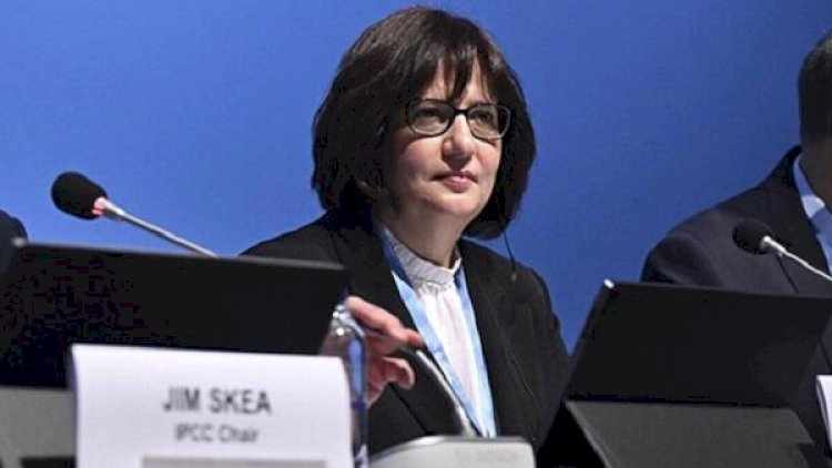    Türkiyə COP29-da neçə nəfərlə iştirak etdi? - Açıqlama   