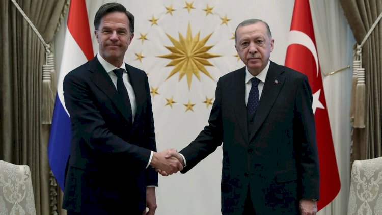    Ərdoğan NATO rəhbəri ilə Ukrayna və Qəzzada nizamlanmanı müzakirə etdi   