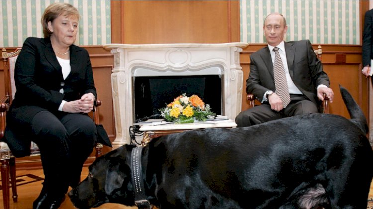   İtdən qorxan Merkelin xatirəsi: “Putin bundan həzz alırdı!”   