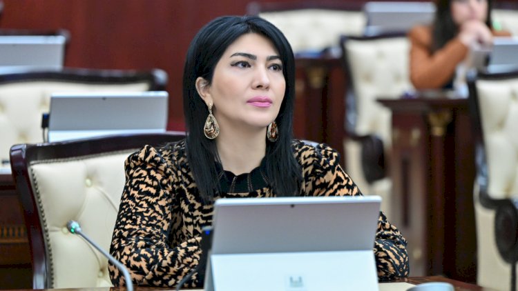    Deputat: Qonorara vergi tətbiqi ləğv edilsin   