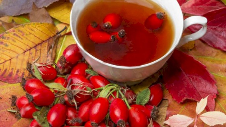    Bu ərəfələrdə mütləq itburnu çayı için   