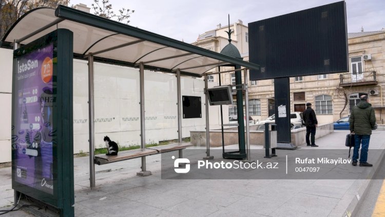    Bakıda dayancaqda avtobus gözləyən qadın öldü   