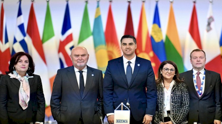    Türkiyəli diplomat ATƏT-in yeni baş katibi təyin edildi   