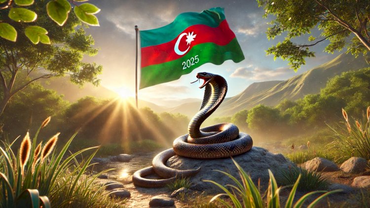    Azərbaycan İlan ilində –   Zirəddindən ŞOK PROQNOZ