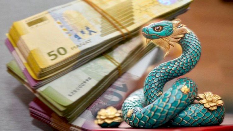    2025 – İlan ilində pul içində üzəcək 5 BÜRC    